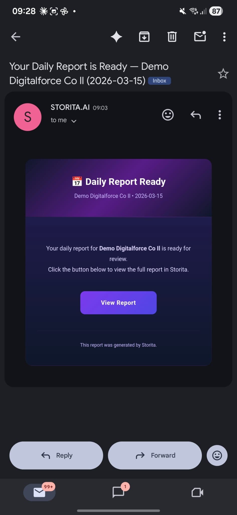 Storita daily executive report preview